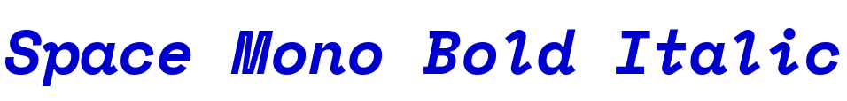Space Mono Bold Italic लिपि